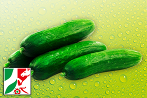 Rheinländische Mini Gurken