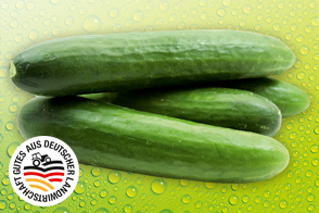 Produktbild »Mini Gurken«