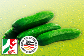 Rheinländische Mini Gurken