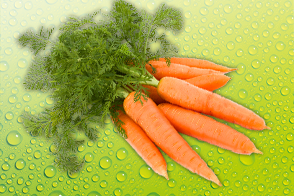Frische Bundkarotten