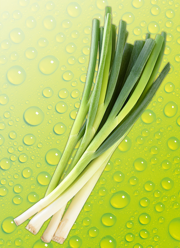 Produktbild »Lauchzwiebeln«