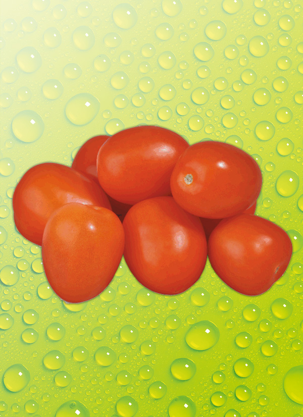 Produktbild »Romatomaten«