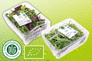 Bio-Salate sortiert