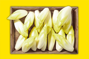 Produktbild »Chicorée aus Baden-Württemberg«