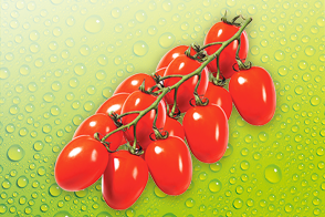 Produktbild »Piccadillyrispentomaten«