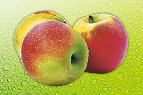 Produktbild »Äpfel mit Schönheitsfehlern«