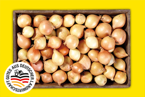Produktbild »Speisezwiebeln aus Baden-Württemberg«