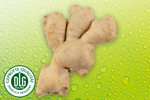 Produktbild »Bio Ingwer«