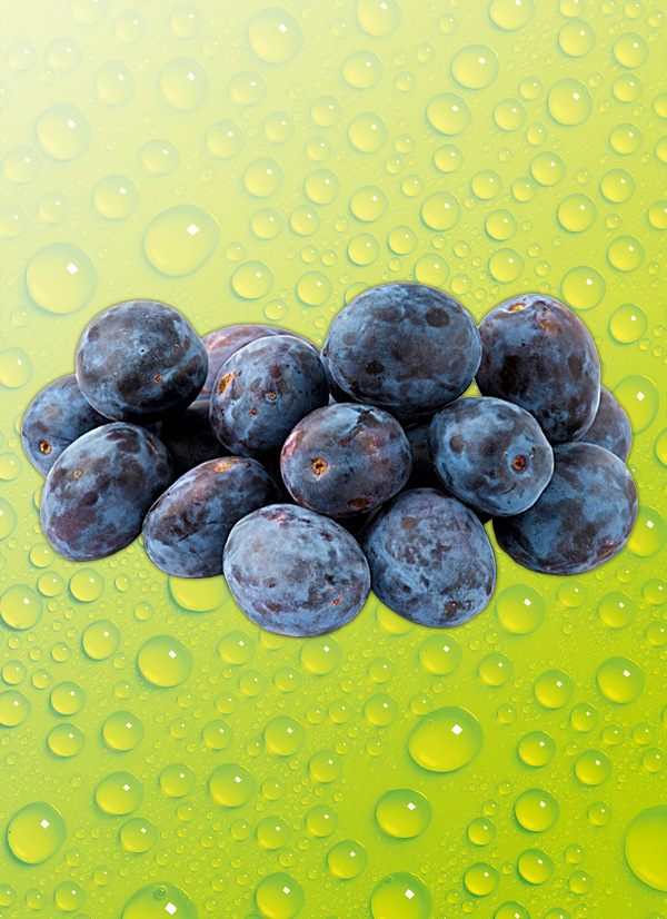 Produktbild »Pflaumen«