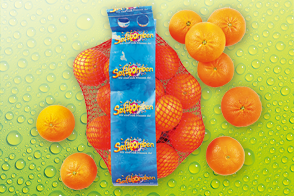 Produktbild »Saft-Mandarinen«