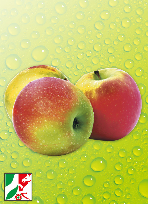 Produktbild »Rheinländer Äpfel«