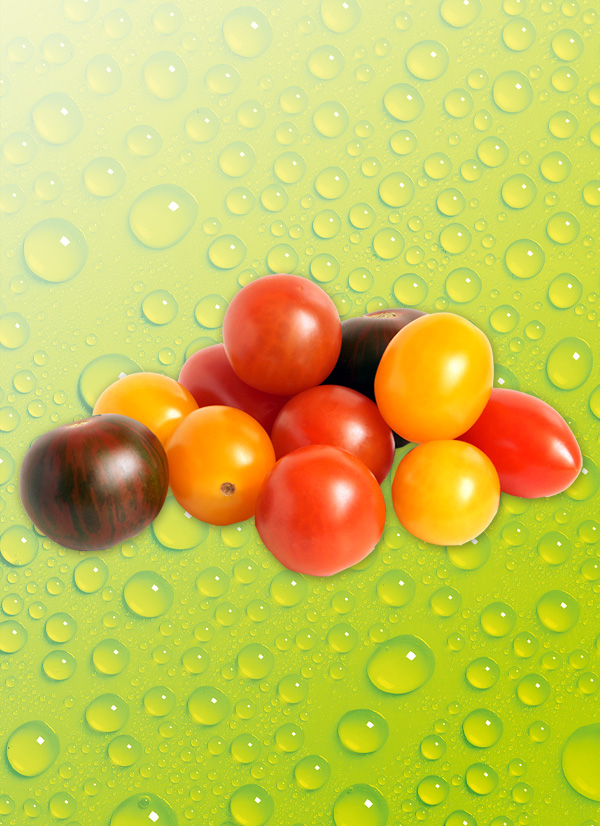 Produktbild »Dattel-Cherrytomaten Mix«