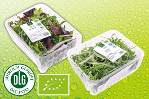 Bio-Salat sortiert