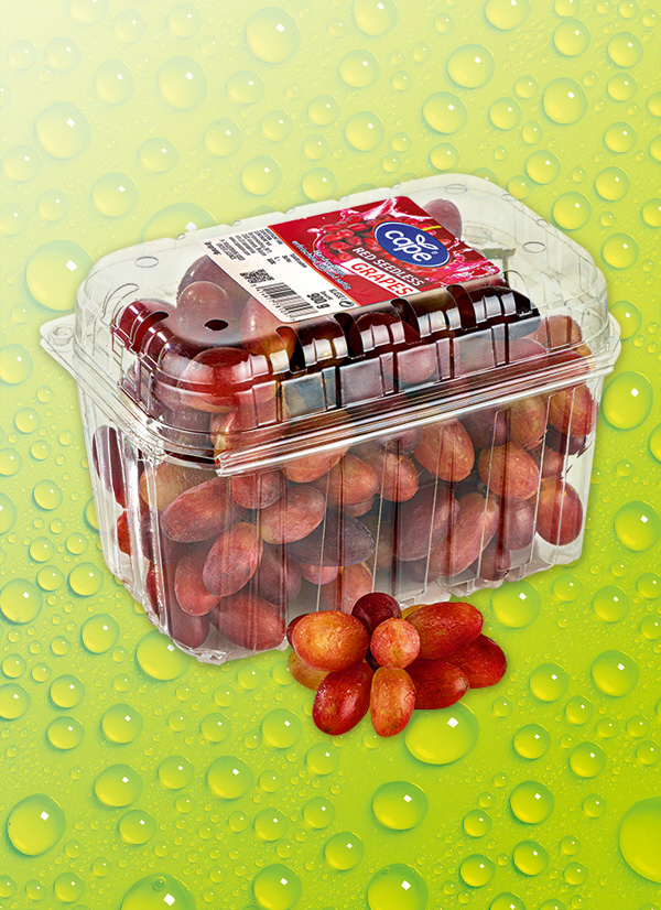 Produktbild »Tafeltrauben kernlos«