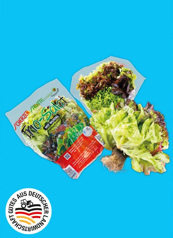 Produktbild »Bayerische Trio-Salate mit Wurzel«