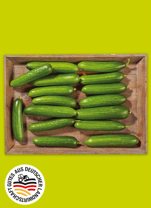 Produktbild »Rheinländer Mini Gurken«