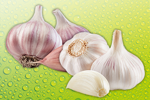 Produktbild »Knoblauch«