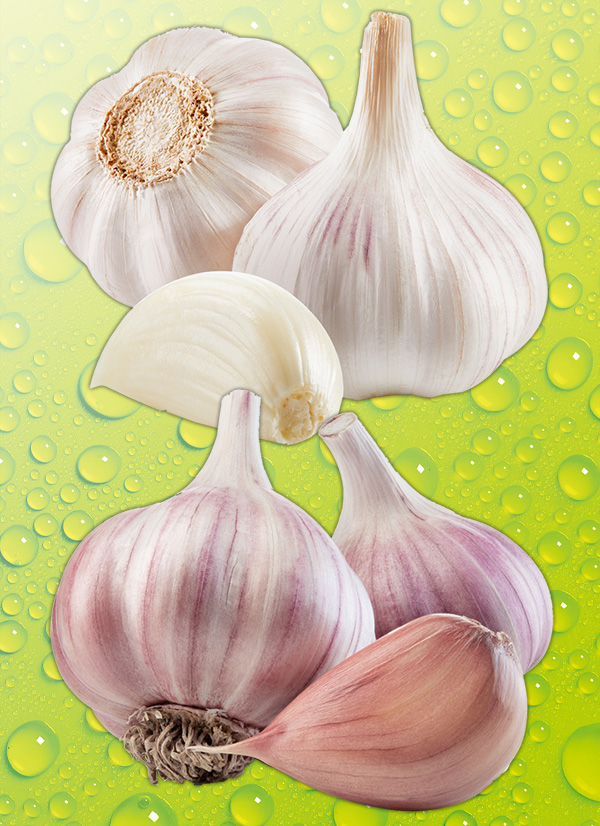 Produktbild »Knoblauch«