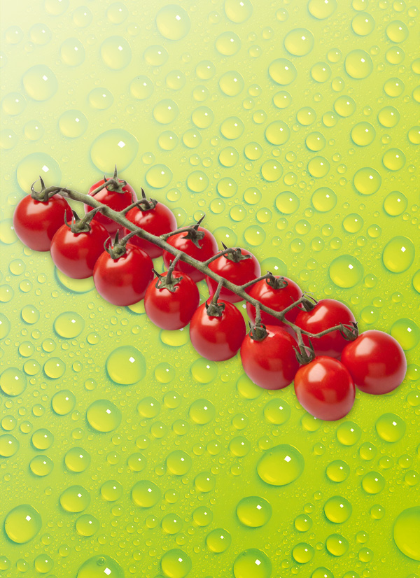 Produktbild »Mini Rispentomaten«