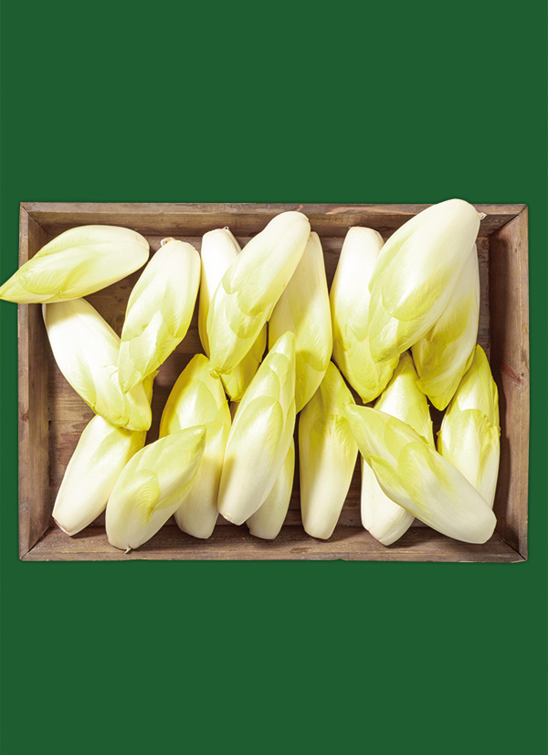 Produktbild »Brandenburger Chicorée«