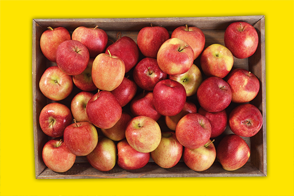 Produktbild »Snackäpfel 'Rockit' vom Bodensee«