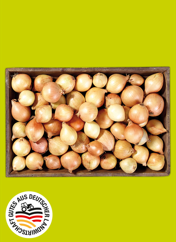 Produktbild »Pfälzer Speisezwiebeln«