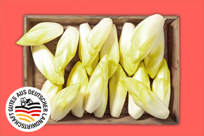 Produktbild »Fränkischer Chicorée«