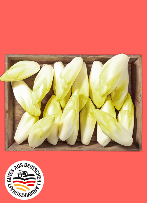 Produktbild »Fränkischer Chicorée«