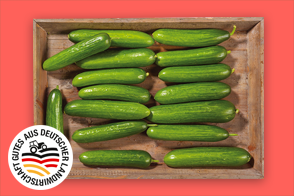 Produktbild »Fränkische Mini Gurken«