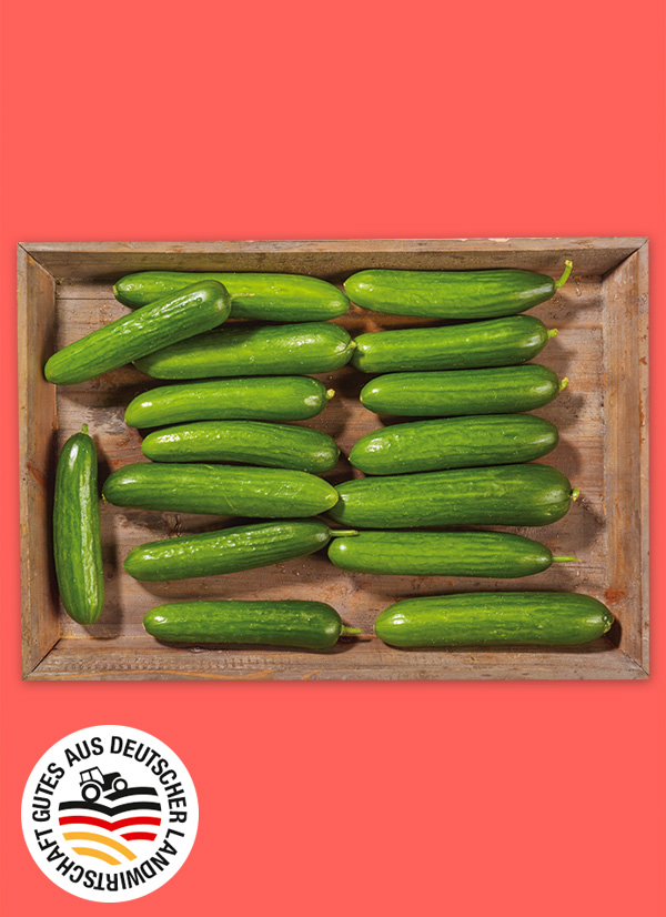 Produktbild »Fränkische Mini Gurken«