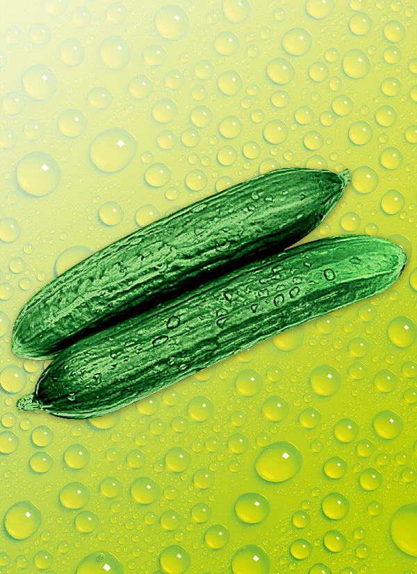 Produktbild »Gurken«