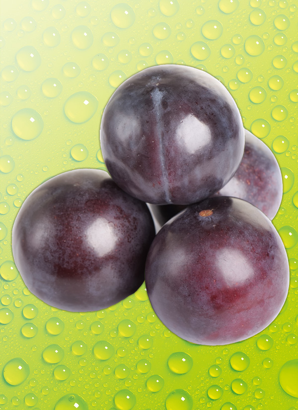 Produktbild »Pflaumen«