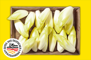 Produktbild »Chicorée aus Baden-Württemberg«