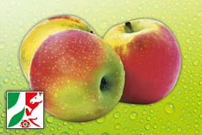 Rheinländer Äpfel 2 kg