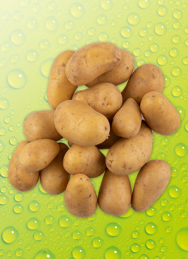 Produktbild »Speisekartoffeln«