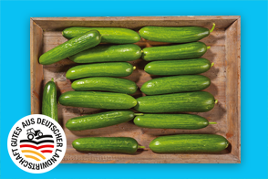 Produktbild »Bayerische Mini Gurken«