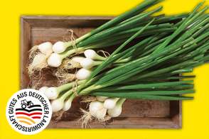 Produktbild »Lauchzwiebeln«