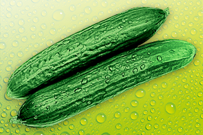 Produktbild »Gurken«