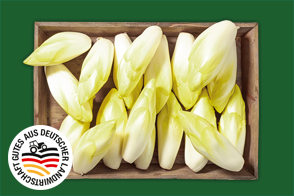 Produktbild »Brandenburger Chicorée«