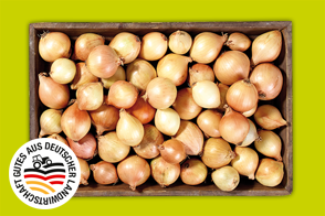 Produktbild »Pfälzer Speisezwiebeln«