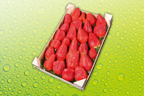 Produktbild »Erdbeeren«