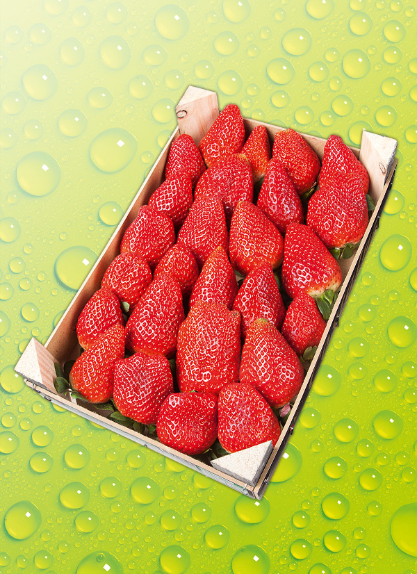 Produktbild »Erdbeeren«