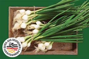 Produktbild »Lauchzwiebeln«
