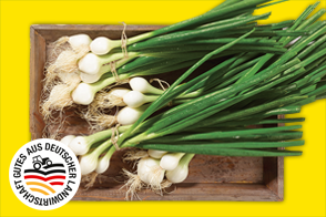 Produktbild »Lauchzwiebeln«