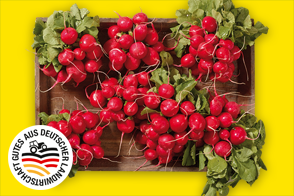 Produktbild »Radieschen«