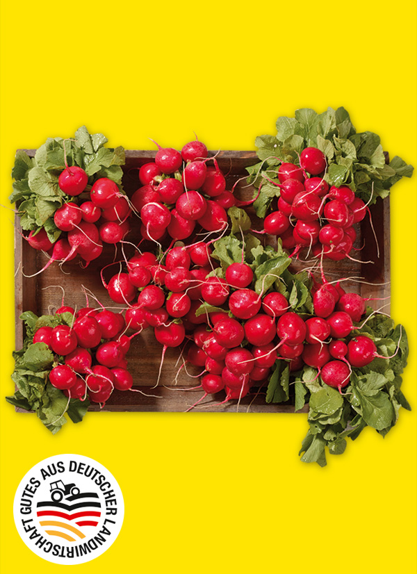 Produktbild »Radieschen«