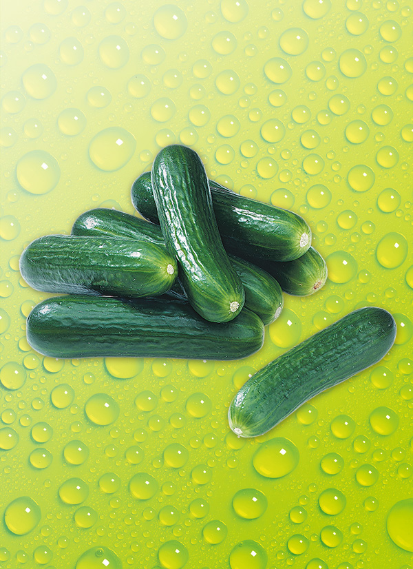 Produktbild »Bauerngurken«