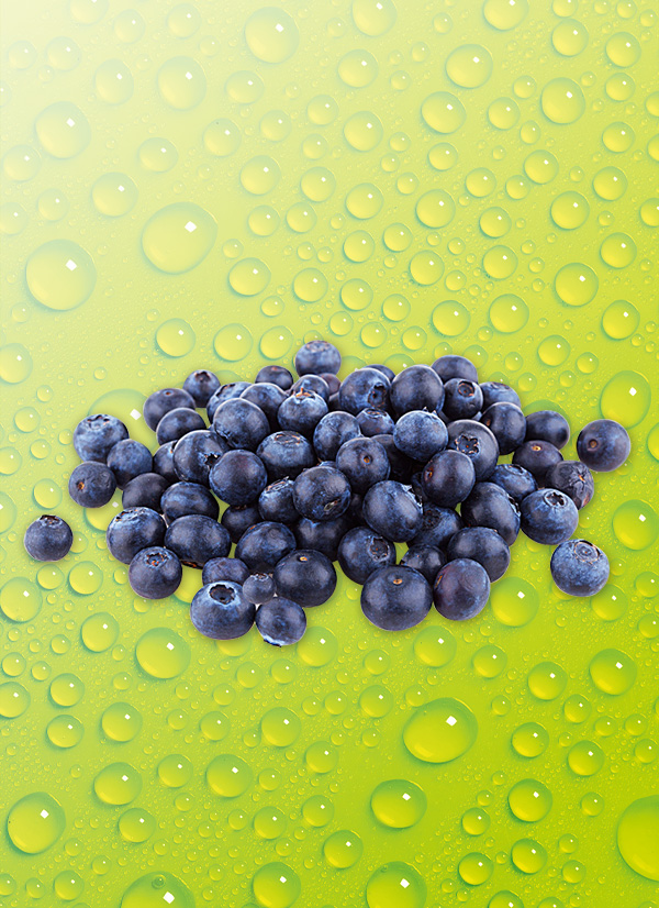 Produktbild »Kulturheidelbeeren «