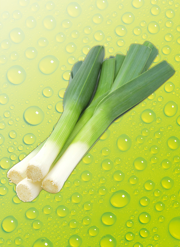 Produktbild »Lauch / Porree«