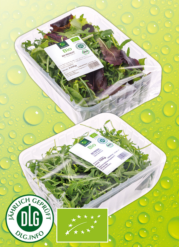 Produktbild »Bio-Salate sortiert«